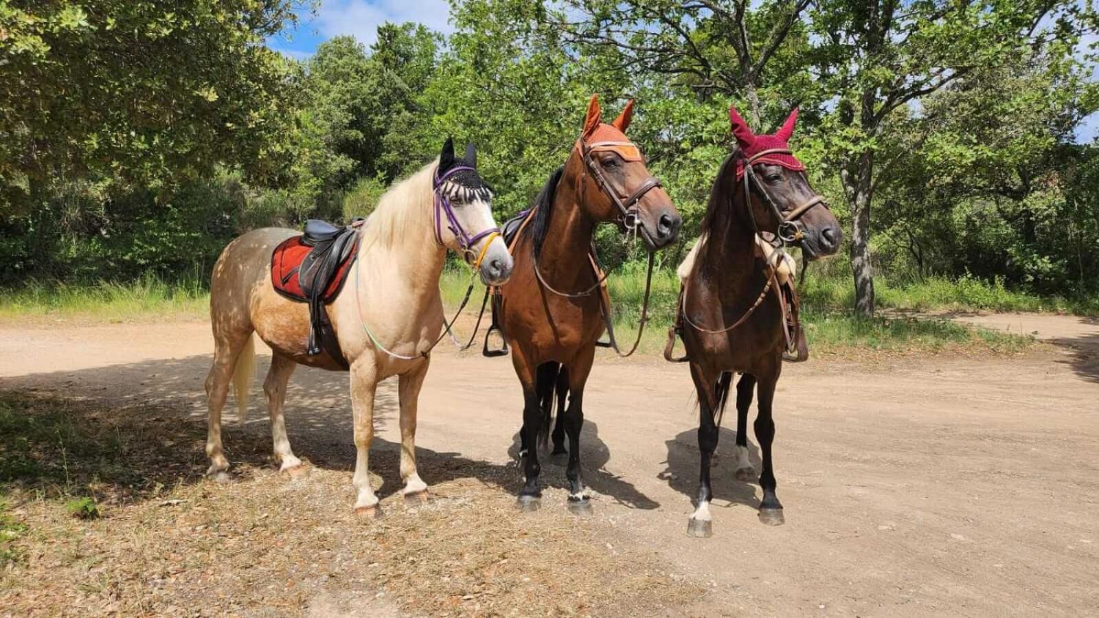 La Cabane Aux Chevaux Varages ภายนอก รูปภาพ