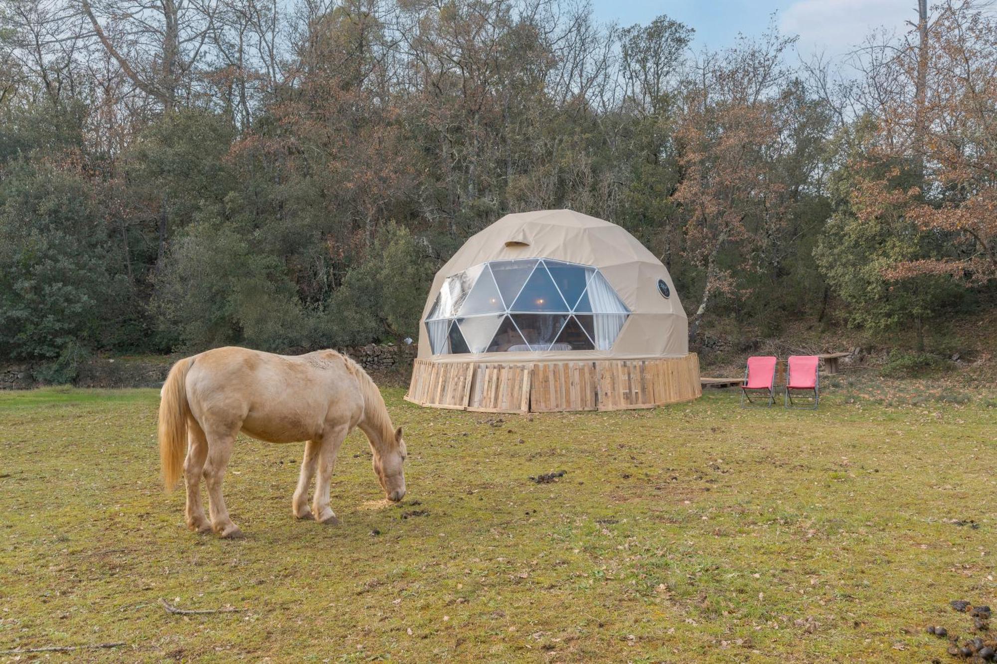 La Cabane Aux Chevaux Varages ภายนอก รูปภาพ