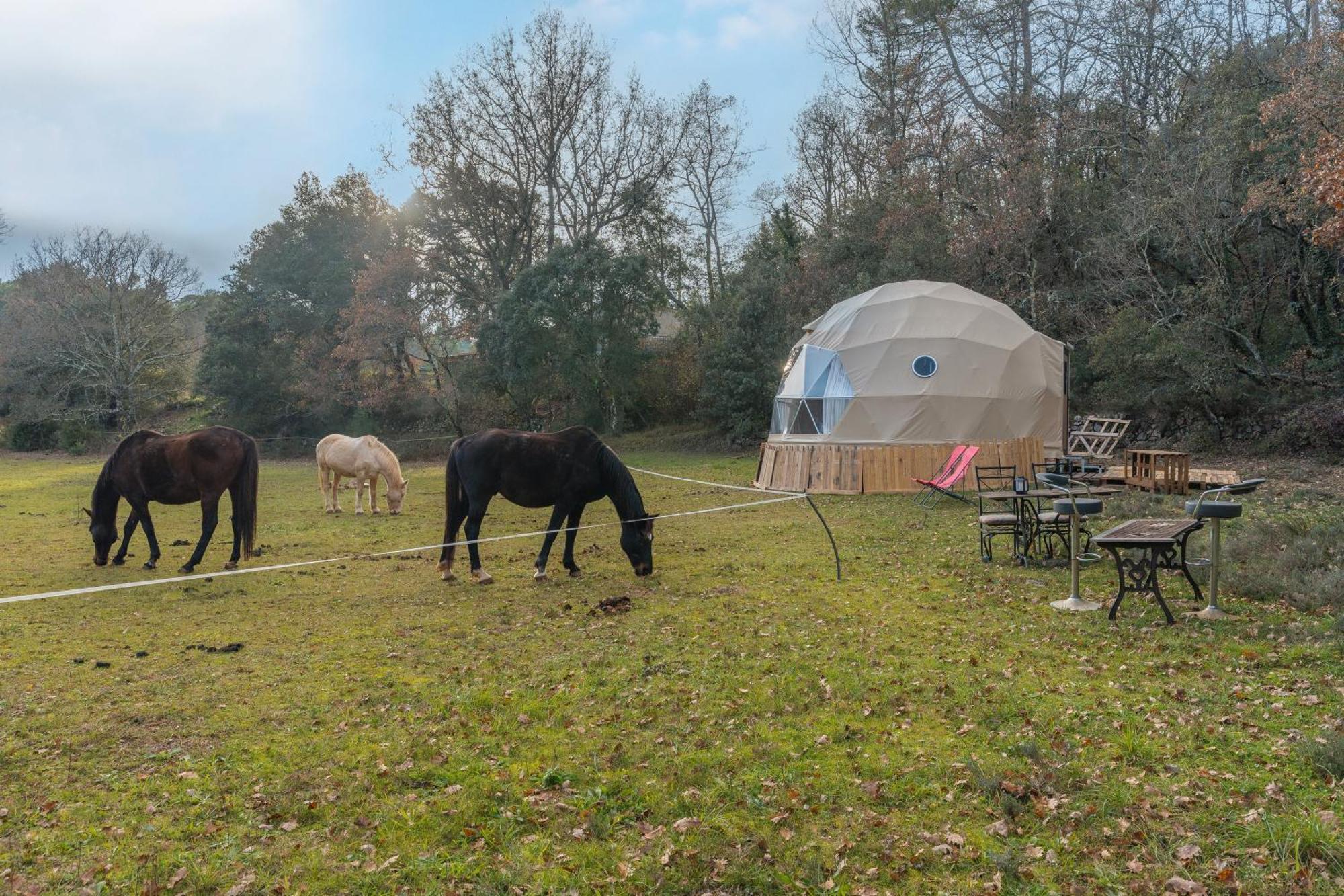 La Cabane Aux Chevaux Varages ภายนอก รูปภาพ